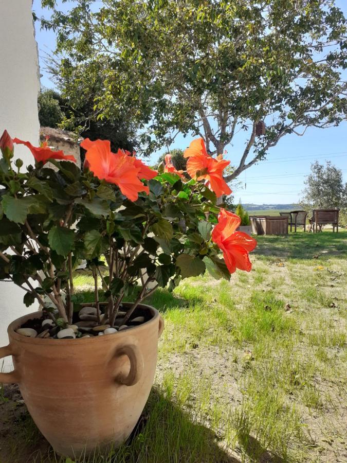 Apartament ***** Quinta Do Por Do Sol ***** Figueira da Foz Zewnętrze zdjęcie