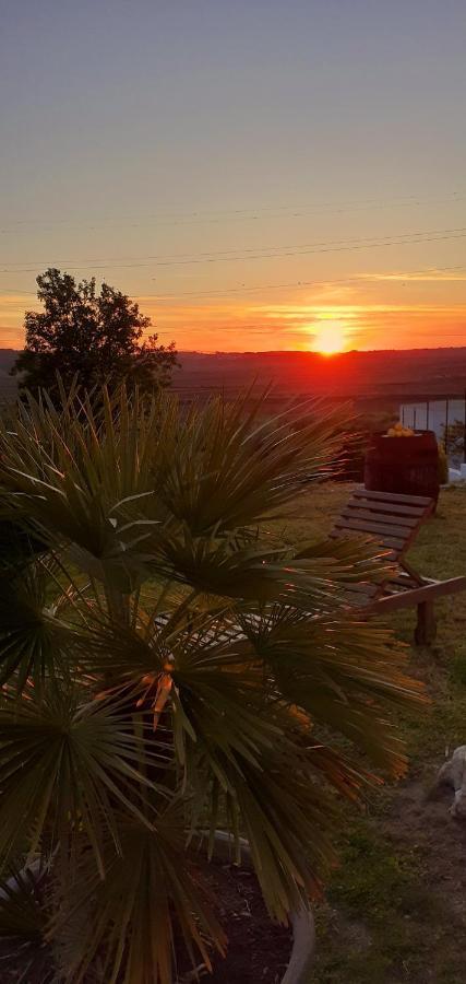 Apartament ***** Quinta Do Por Do Sol ***** Figueira da Foz Zewnętrze zdjęcie